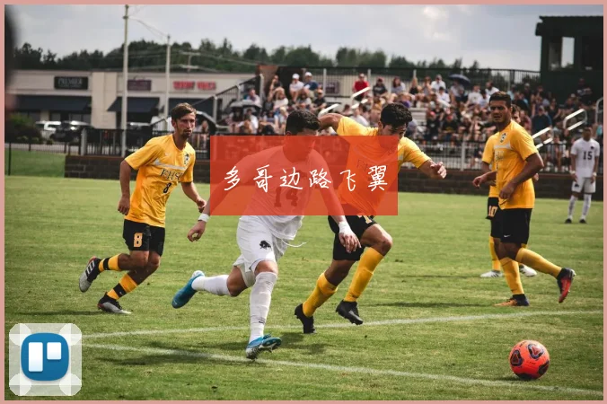 多哥边路飞翼