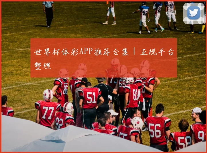世界杯体彩APP推荐合集｜正规平台整理