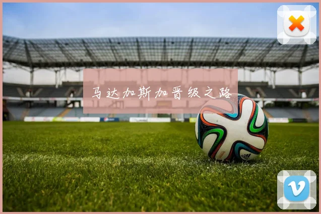 马达加斯加晋级之路