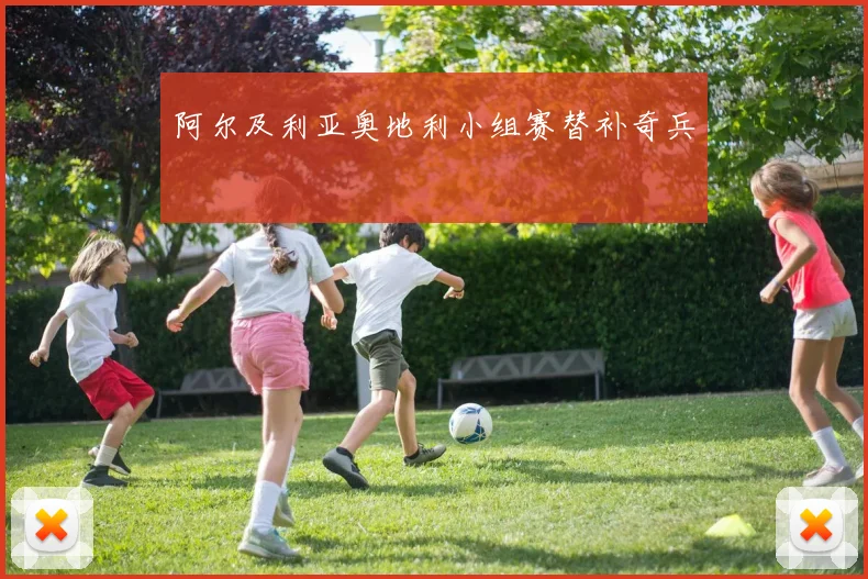 阿尔及利亚奥地利小组赛替补奇兵