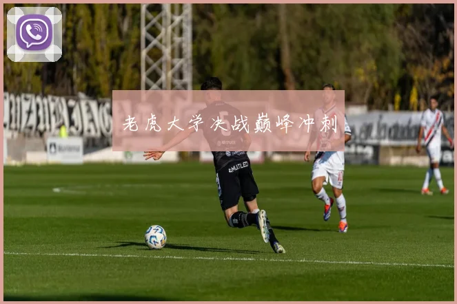 老虎大学决战巅峰冲刺