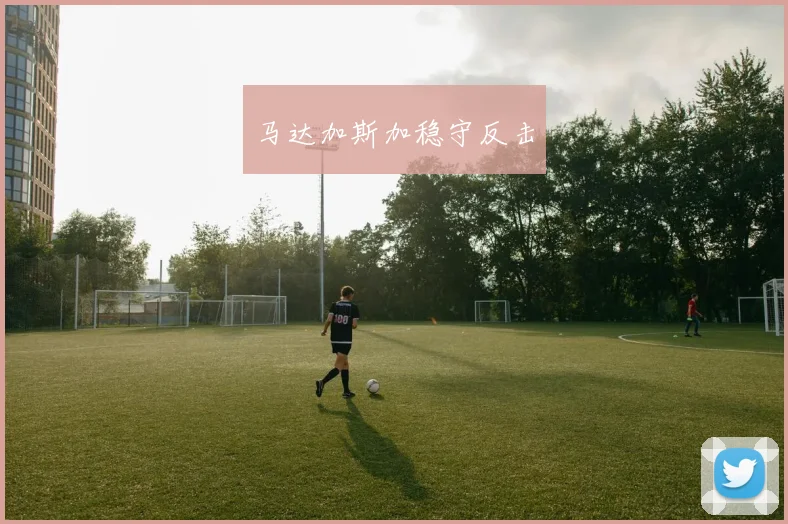 马达加斯加稳守反击