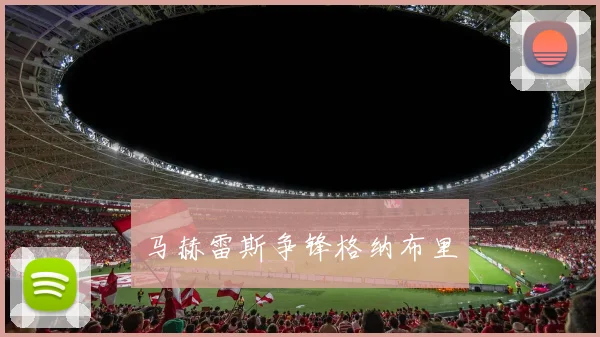马赫雷斯争锋格纳布里