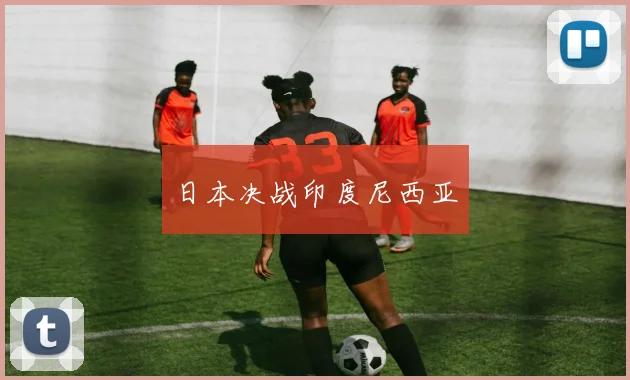 日本决战印度尼西亚