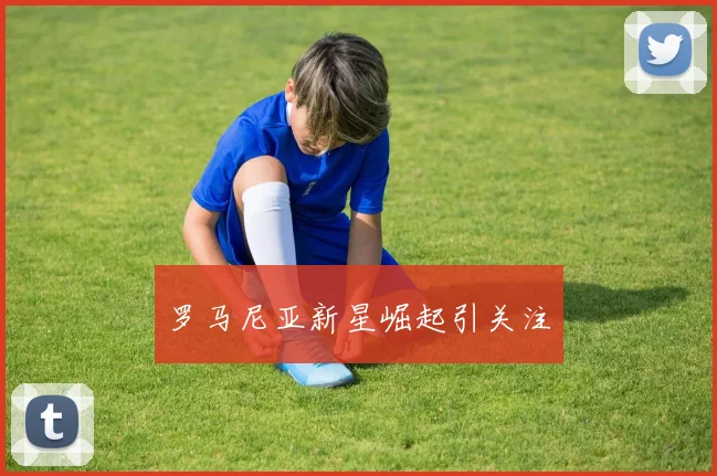罗马尼亚新星崛起引关注