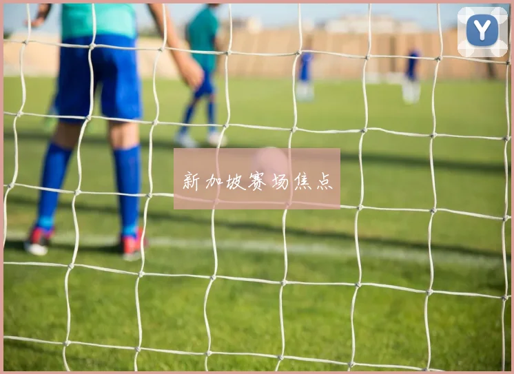 新加坡赛场焦点