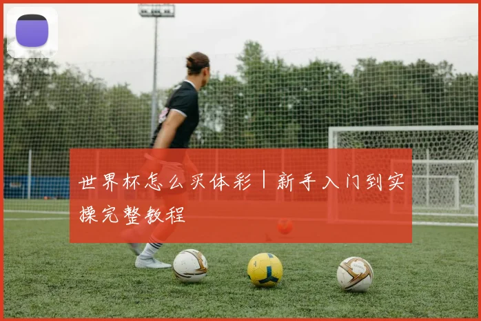 世界杯怎么买体彩｜新手入门到实操完整教程