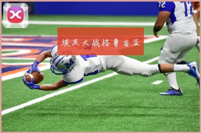 埃及大战格鲁吉亚