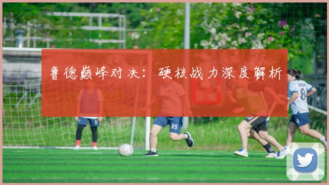 鲁德巅峰对决：硬核战力深度解析