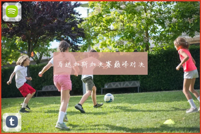 马达加斯加决赛巅峰对决
