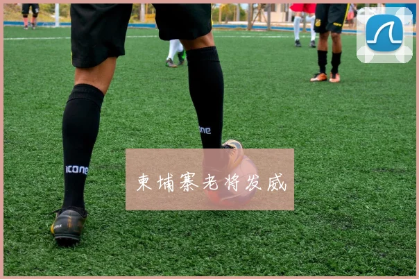 柬埔寨老将发威