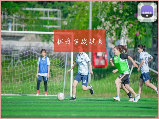 林丹苦战过关