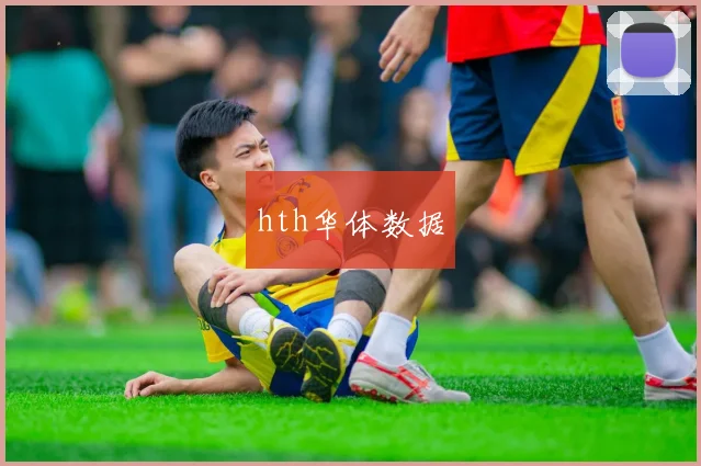 hth华体数据