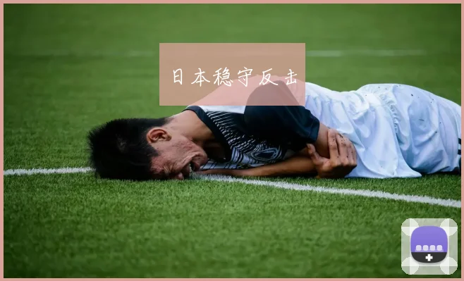 日本稳守反击