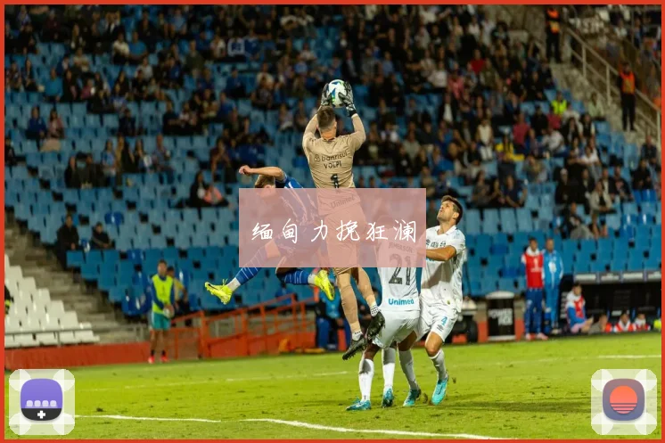 缅甸力挽狂澜