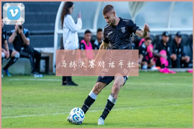 马林决赛对话辛杜