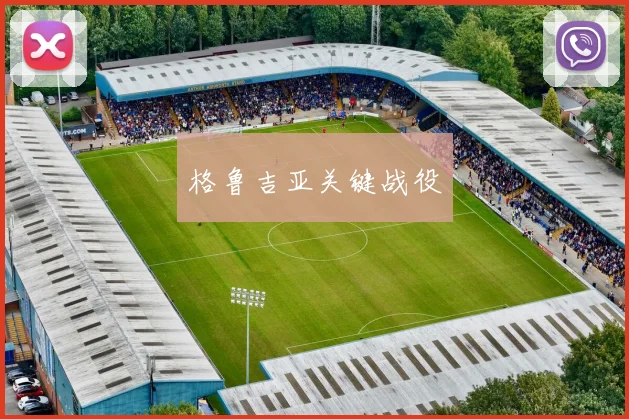 格鲁吉亚关键战役