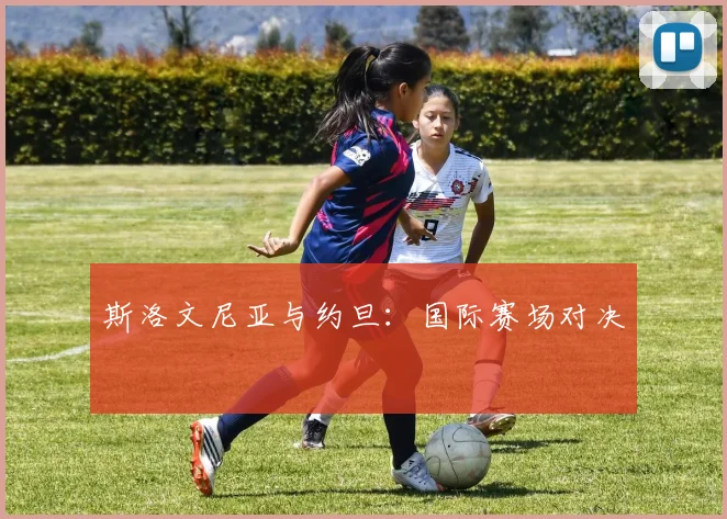斯洛文尼亚与约旦：国际赛场对决