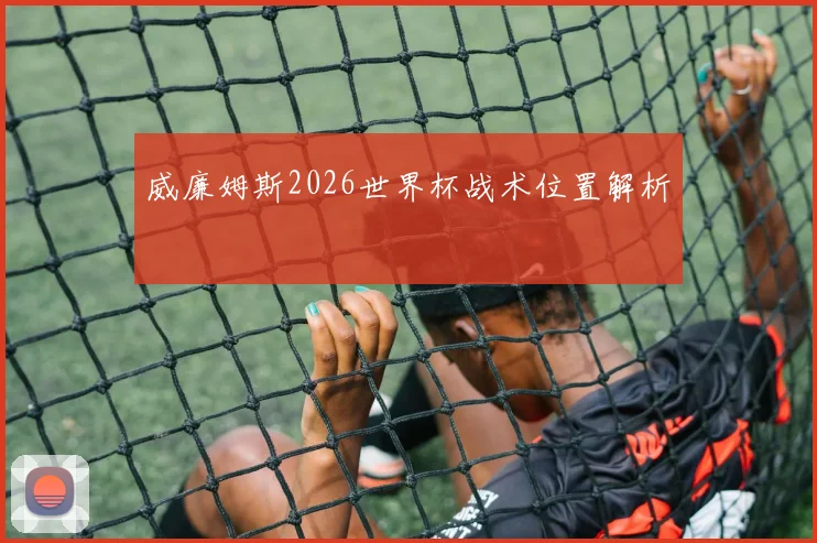 威廉姆斯2026世界杯战术位置解析