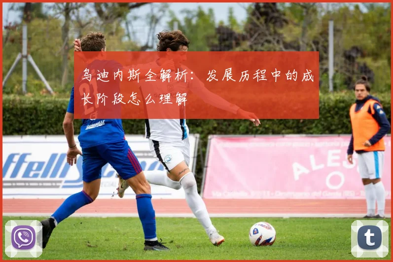 乌迪内斯全解析：发展历程中的成长阶段怎么理解
