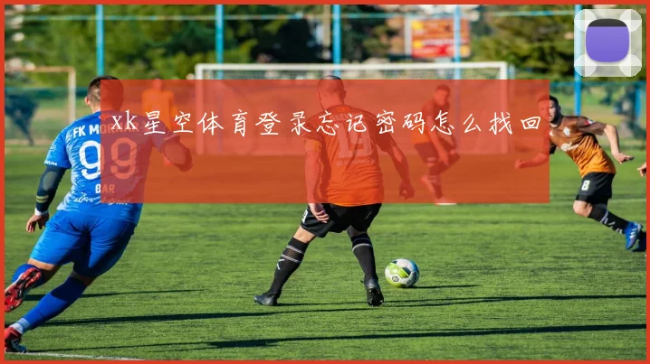 xk星空体育登录忘记密码怎么找回